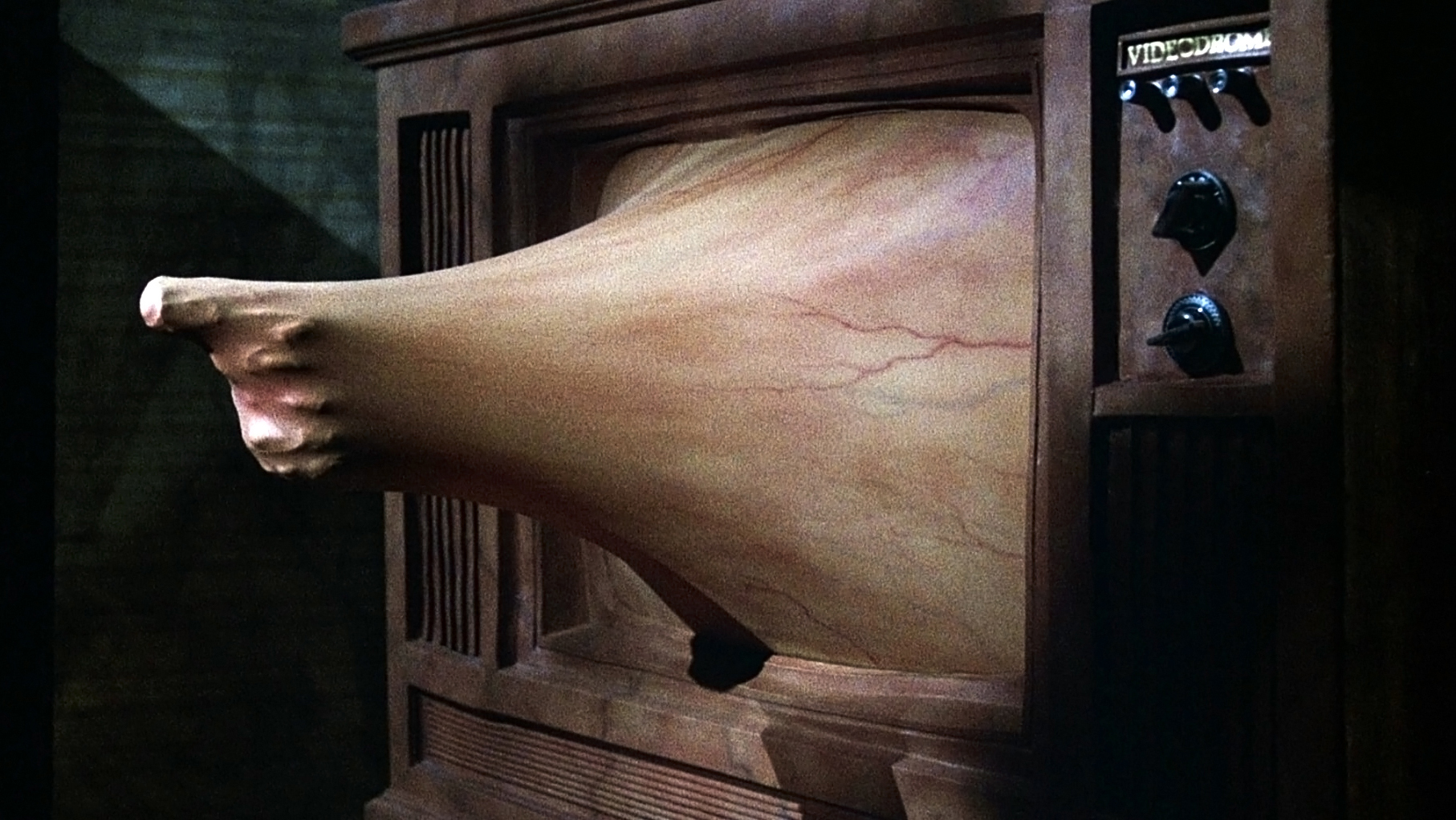Videodrome - 3.jpg