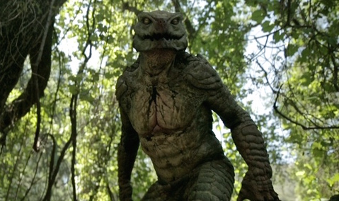 Shallow-Water-Image-2